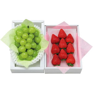 y~̑́zꌧYERY䕁VC}XJbg