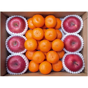 y~̑́za̎RYEXY݂E񂲃Zbgij