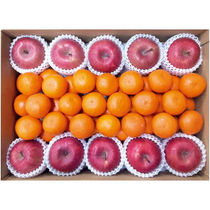 y~̑́za̎RYEXY݂E񂲃Zbgij