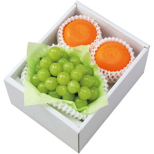 y~̑́zQERYg܂ǂȁVC}XJbg