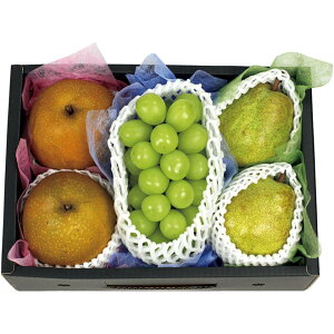 y~̑́zYVC}XJbgAaAR`YmȂl