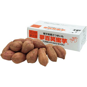 �y�~�̑�����́z���������Y��q���@���S�����[��5kg