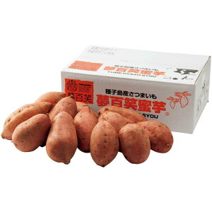 �y�~�̑�����́z���������Y��q���@���S�����[��3kg