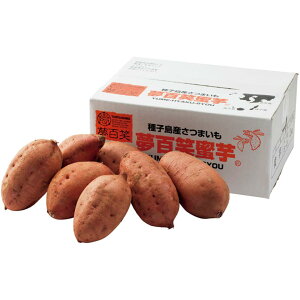 y~̑́zYq S[2kg