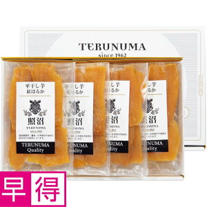 y~̑̑z錧YiƏjƏNIeBZbg