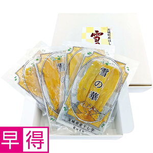 y~̑̑z錧YiƏj_Ƃ̊Zbg