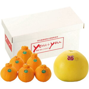 y~̑́zF{YӔMEfR|Zbg