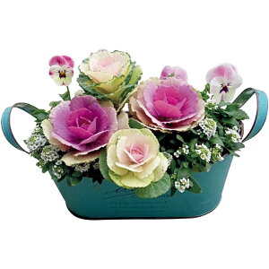 y~̑́zԂ̊C~̊񂹐AuLovely DayviSUSTEEtj