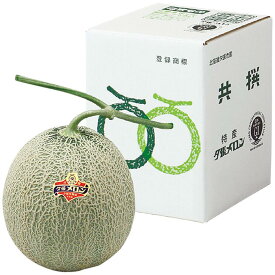 【夏の贈りもの】北海道夕張市産（JA夕張市）　夕張メロン　優品L　優品Lサイズ1個（1．2kg以上）