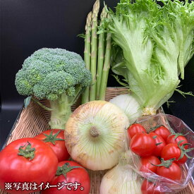 【三重県鈴鹿みどりの大地】鈴鹿高原野菜セット（M）1箱