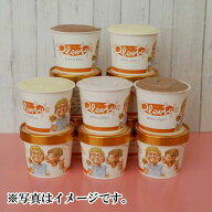 【茅ヶ崎プレンティーズ】アイスクリーム 12個セット