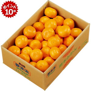 ��12/20 23:59�܂Ń|�C���g10�{���y�~�̑�����́z�F�{���Y�������݂���@S����M����L�T�C�Y�A�v4kg�ȏ�