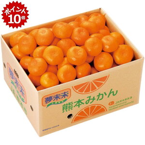 ��12/20 23:59�܂Ń|�C���g10�{���y�~�̑�����́z�F�{���Y�������݂���