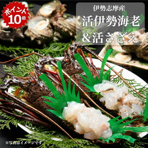 ��12/20 23:59�܂Ń|�C���g10�{���y��ɐ��� �ےr�z�ɐ��u���Y ���ɐ��C�V���������� A�Z�b�g(���ɐ��C�V 2���A�������� 10�`12��)