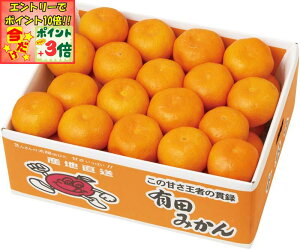 |Cg3{Gg[ōX+10{!!y~̑́za̎RY Lc݂