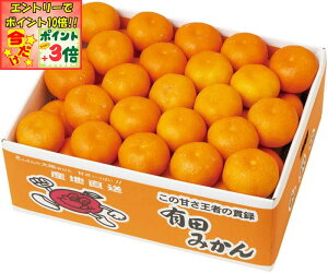 |Cg3{Gg[ōX+10{!!y~̑́za̎RY Lc݂