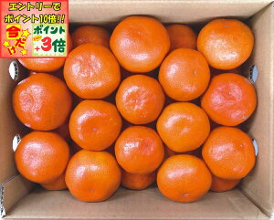 |Cg3{Gg[ōX+10{!!y~̑́z쌧Y g݂