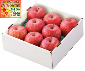 |Cg3{Gg[ōX+10{!!y~̑́zR`Y Tӂ