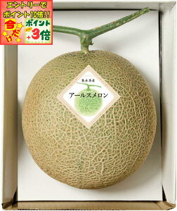 |Cg3{Gg[ōX+10{!!y~̑́zF{Y A[X