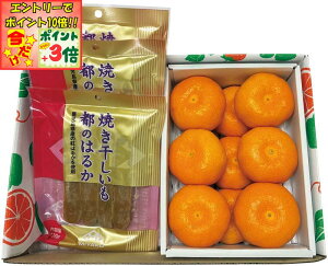 |Cg3{Gg[ōX+10{!!y~̑́zĂƌF{Y ݂