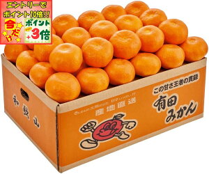 |Cg3{Gg[ōX+10{!!y~̑́za̎RY Lc݂