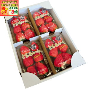 |Cg3{Gg[ōX+10{!!y~̑́zȖ،YiJA܁jƂ M[pbN4pbNi1pbN260gȏj