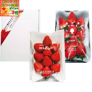 |Cg3{Gg[ōX+10{!!y~̑́zYEꌧY܂䕁E䕔