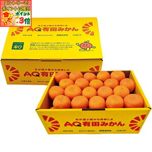 |Cg3{Gg[ōX+10{!!y~̑́za̎RYiJA킩܁jLc݂ SMLTCYAv5kgȏ