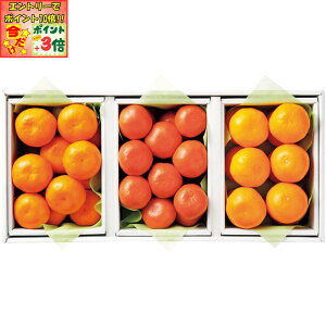 |Cg3{Gg[ōX+10{!!y~̑́za̎RYEF{YE쌧Y݂HהׁiLc݂E݂Eg݂j