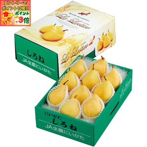 |Cg3{Gg[ōX+10{!!y~̑́zVYiJAV₫jt[ct[˂̃ N`G 7`11Av2D9kgȏ