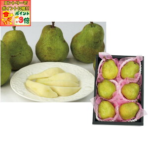 |Cg3{Gg[ōX+10{!!y~̑́zR`YrbOEtX EtXAGiA5LA6LTCYA5`6Av2D5kgȏ