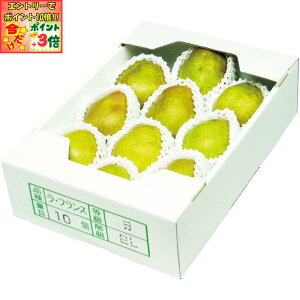 |Cg3{Gg[ōX+10{!!y~̑́zR`YEtX2L10 GiA2LTCYA10Av2D5kgȏ