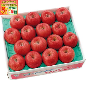 |Cg3{Gg[ōX+10{!!y~̑́zXYiJAOOjTӂ AAL2LTCYA16`18Av5kgȏ