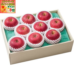 |Cg3{Gg[ōX+10{!!y~̑́zXYxI Tӂ 7`9i1250gȏjAv2D2kgȏ