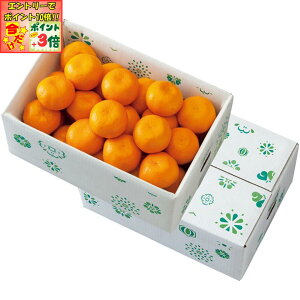 |Cg3{Gg[ōX+10{!!y~̑́za̎RY gbvǒbݗLc݂ Gi͗DiASMLTCYAv3kgȏ