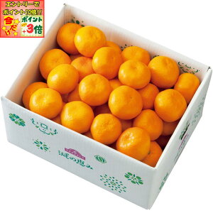 |Cg3{Gg[ōX+10{!!y~̑́za̎RY gbvǒbݗLc݂ Gi͗DiAMLTCYAv5kgȏ