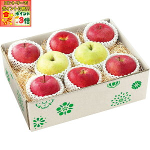 |Cg3{Gg[ōX+10{!!y~̑́zXY gbvǒbݎ㊮n3񂲋l