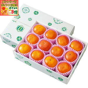 |Cg3{Gg[ōX+10{!!y~̑́za̎RY gbvǒbݕxL` GiALTCYȏA10[14Av3D5kgȏ