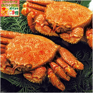 |Cg3{Gg[ōX+10{!!y~̑́zkCY{CтɎp2iɃXv[tj