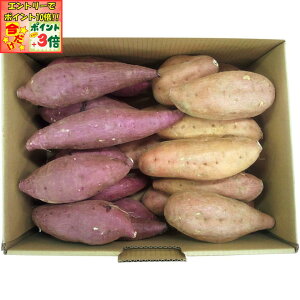 |Cg3{Gg[ōX+10{!!y~̑́zYiJAqvj[Eg͂邩Zbg