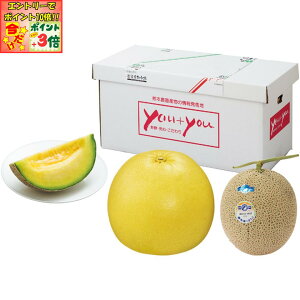 |Cg3{Gg[ōX+10{!!y~̑́zF{YӔMEA[X Zbg