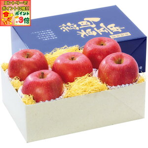 |Cg3{Gg[ōX+10{!!y~̑́zXYTӂ񂲁iGi5Av1D9kgȏj