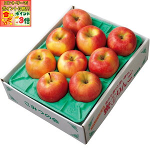 |Cg3{Gg[ōX+10{!!y~̑́zXYiJAÌy݂炢ΐj肱݂񂲁ipj