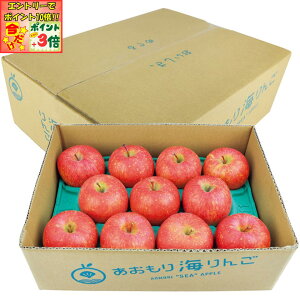 |Cg3{Gg[ōX+10{!!y~̑́zXYp C