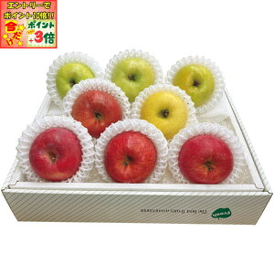 |Cg3{Gg[ōX+10{!!y~̑́zXY񂲐Hה