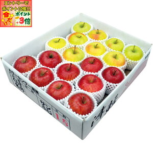 |Cg3{Gg[ōX+10{!!y~̑́zXYTӂ񂲁ܖB