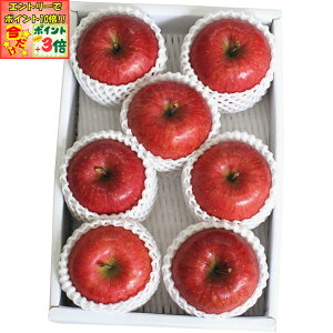 |Cg3{Gg[ōX+10{!!y~̑́zR`YiJAڂЂˁjZT[IʃTӂ