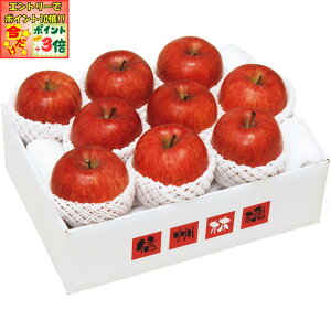 |Cg3{Gg[ōX+10{!!y~̑́z쌧YiJAȂ̎RmnjTӂ