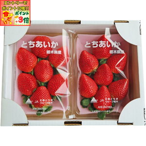 |Cg3{Gg[ōX+10{!!y~̑́zȖ،YiJA܁jƂ