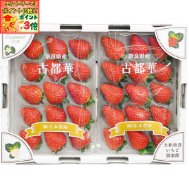 ★ポイント3倍＆エントリーで更に+10倍!!★【冬の贈りもの】奈良県産古都華